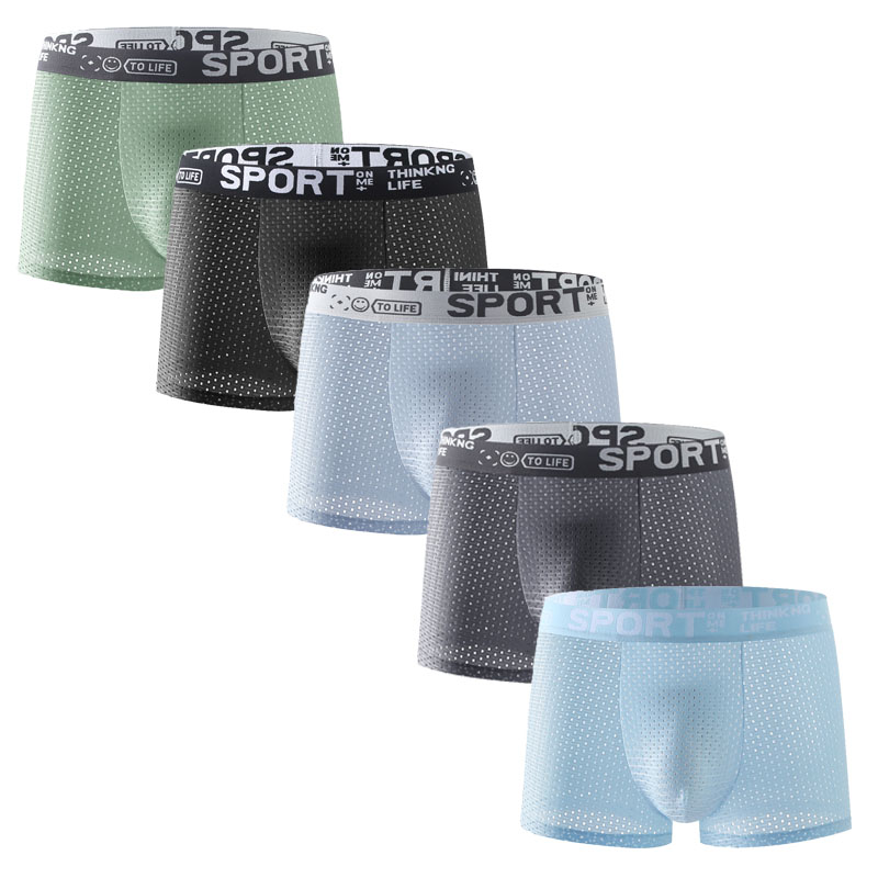 5PCS Men's Ice Silk Mesh Boxer - Mesh Sport Boxer 评论和价格