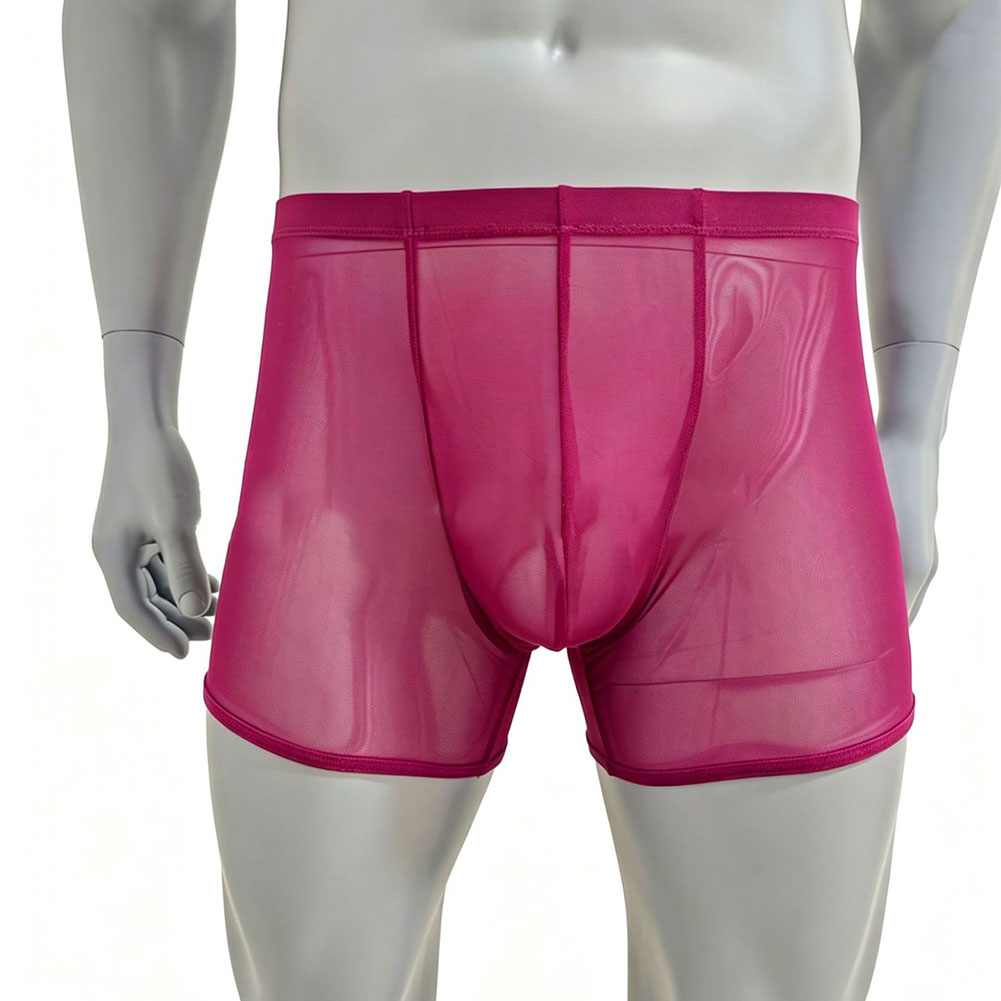 Men Mesh See-through Ultra-thi - Long Leg Trunk Men 评论和价格